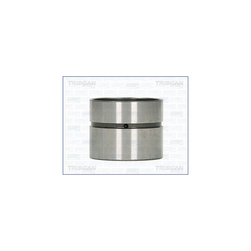 Ventilst&ouml;&szlig;el TRISCAN 80-25003 f&uuml;r, Auslassseite, Einlassseite