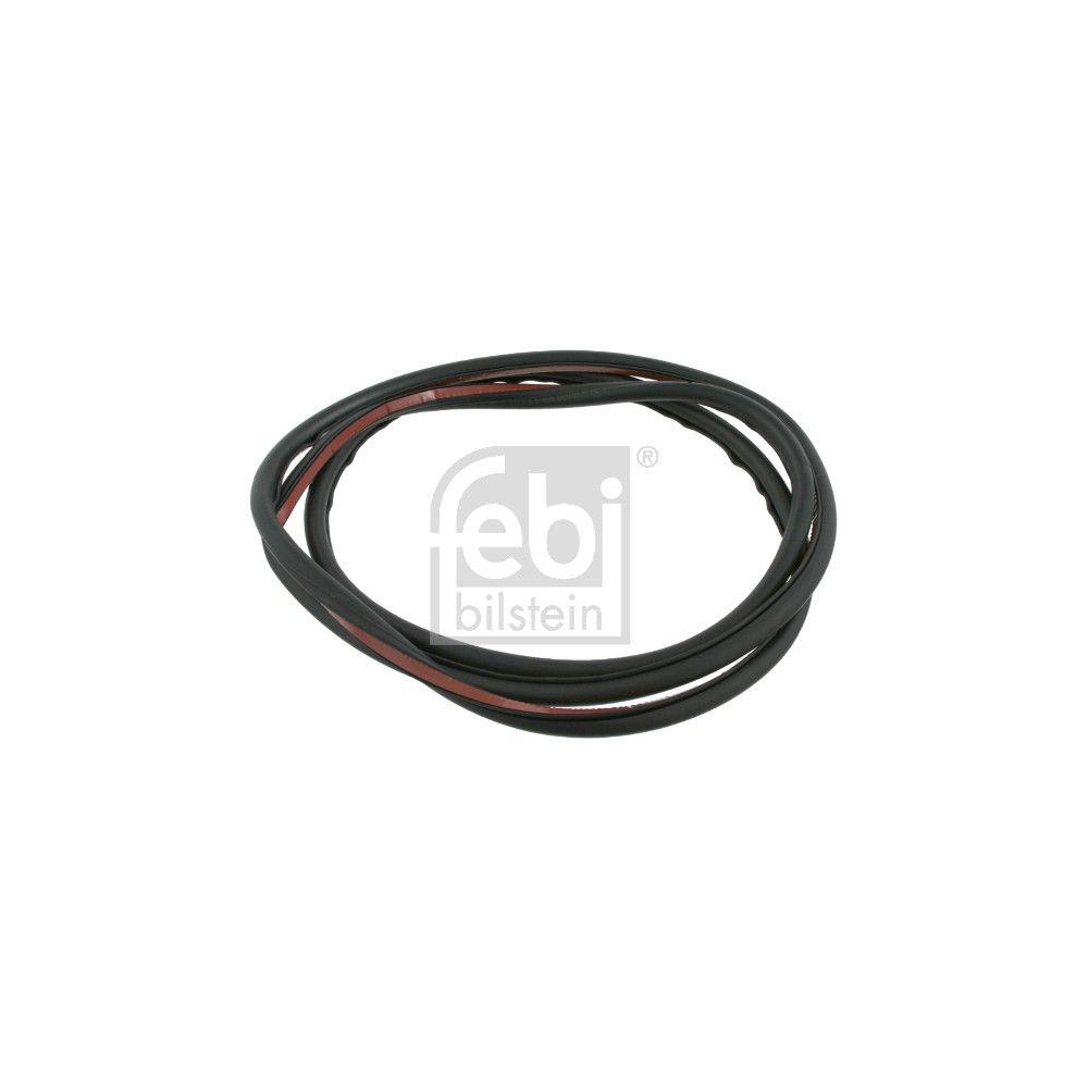 Türdichtung FEBI BILSTEIN 26497 für BMW, vorne links
