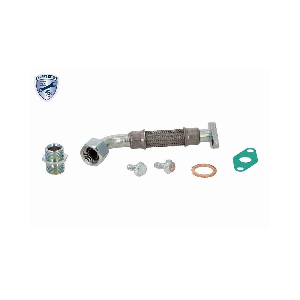 VAICO V10-000160 &Ouml;lleitung, Lader EXPERT KITS + f&uuml;r AUDI SEAT SKODA VW