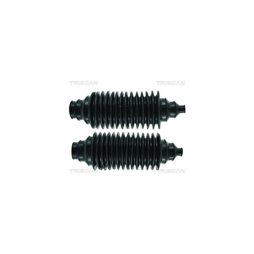 Faltenbalgsatz, Lenkung TRISCAN 8500 250 f&uuml;r