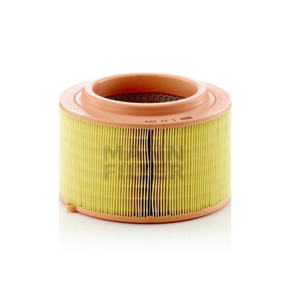 Luftfilter MANN-FILTER C 22 024 f&uuml;r FORD MAZDA