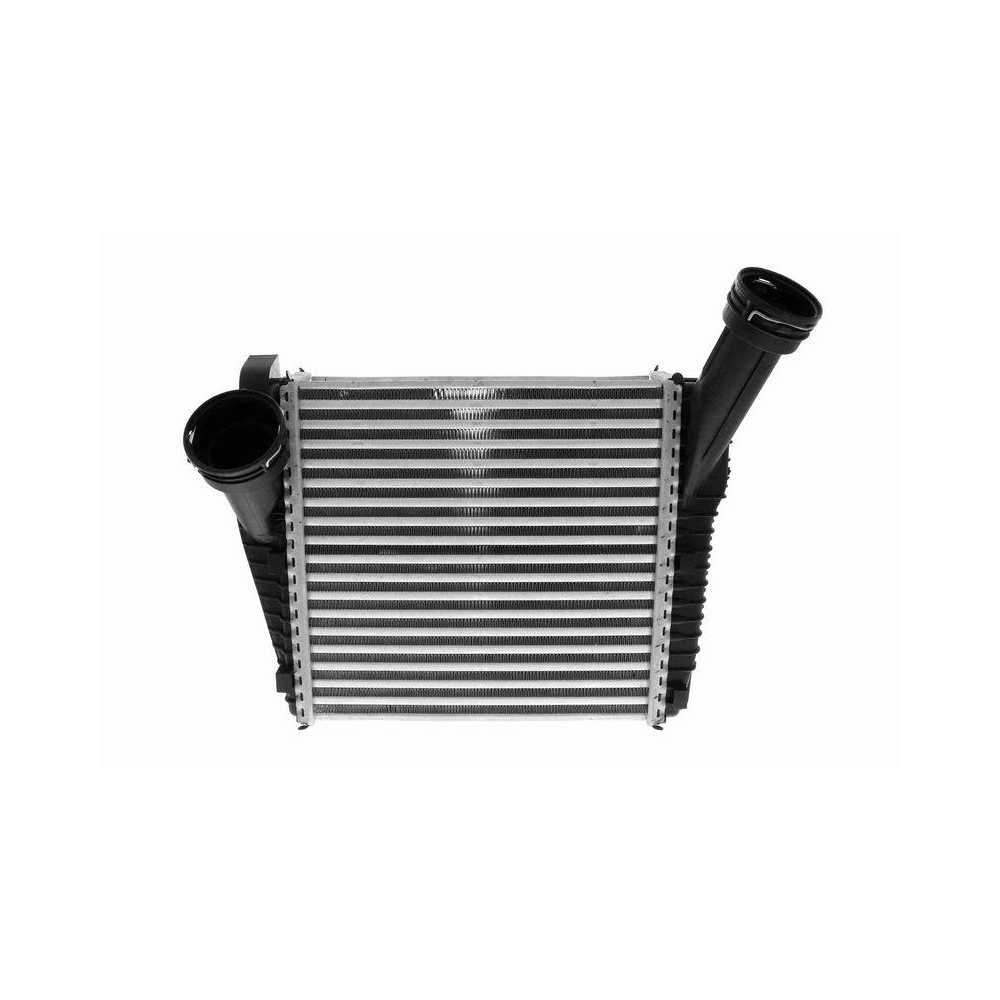 Ladeluftk&uuml;hler VEMO V10-60-0062 Original VEMO Qualit&auml;t f&uuml;r AUDI, rechts