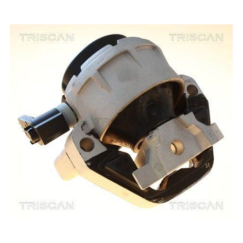 TRISCAN 8505 29198 Lagerung, Motor f&uuml;r AUDI, links, rechts, vorne
