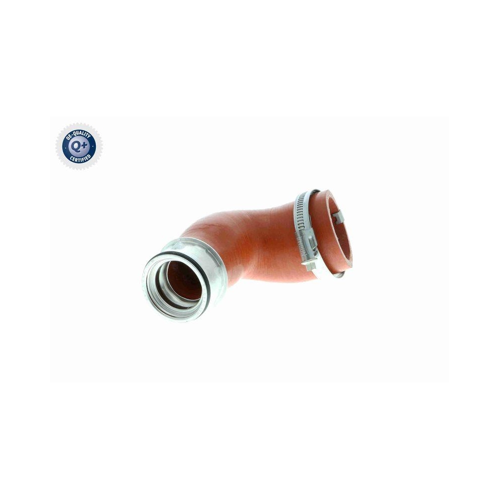 Ladeluftschlauch VAICO V10-2870 Q+, Erstausrüsterqualität für AUDI SEAT SKODA VW