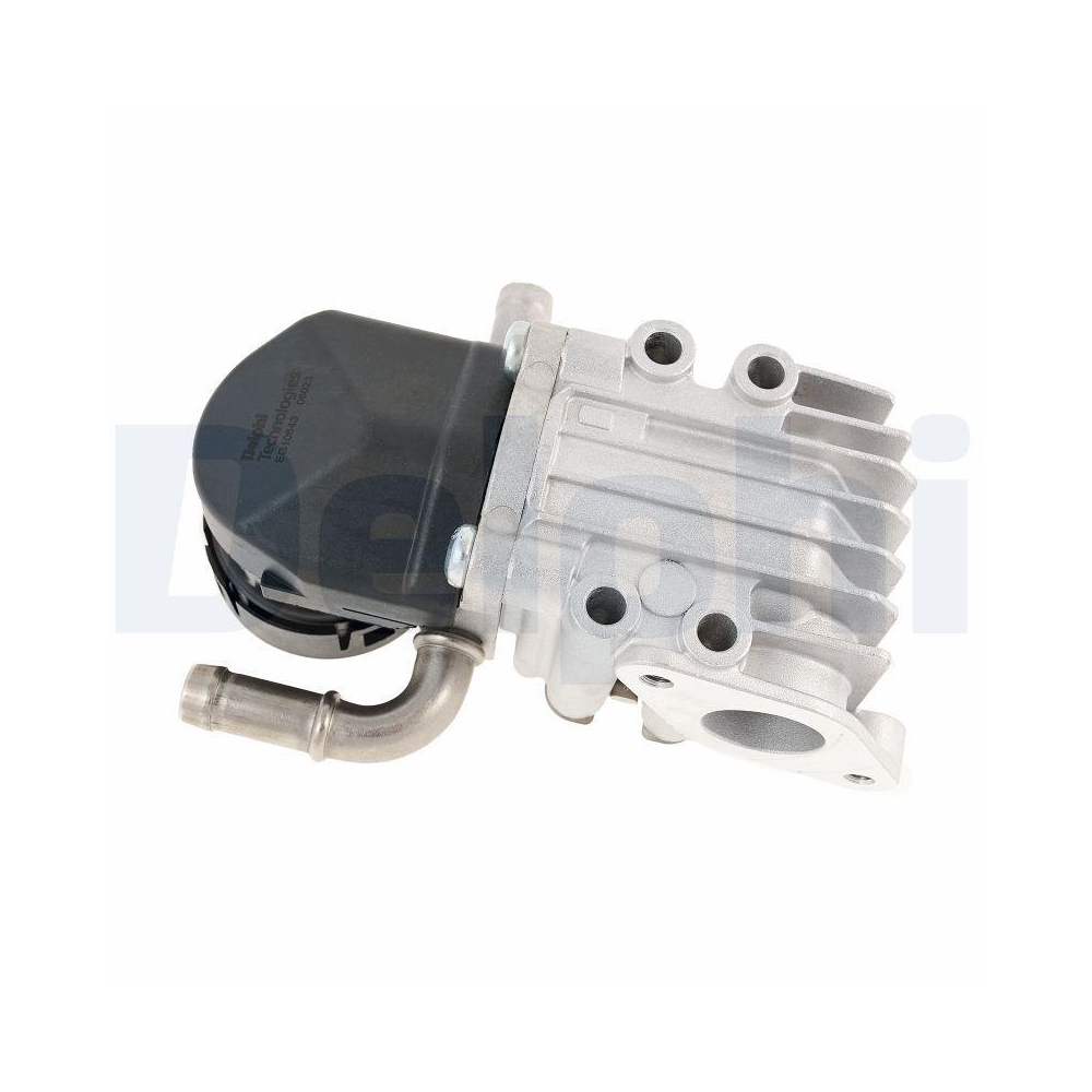 AGR-Ventil DELPHI EG10643-12B1 für BMW