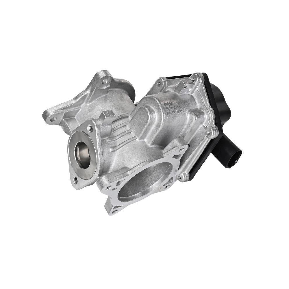 DELPHI EG10757-12B1 AGR-Ventil f&uuml;r AUDI VW