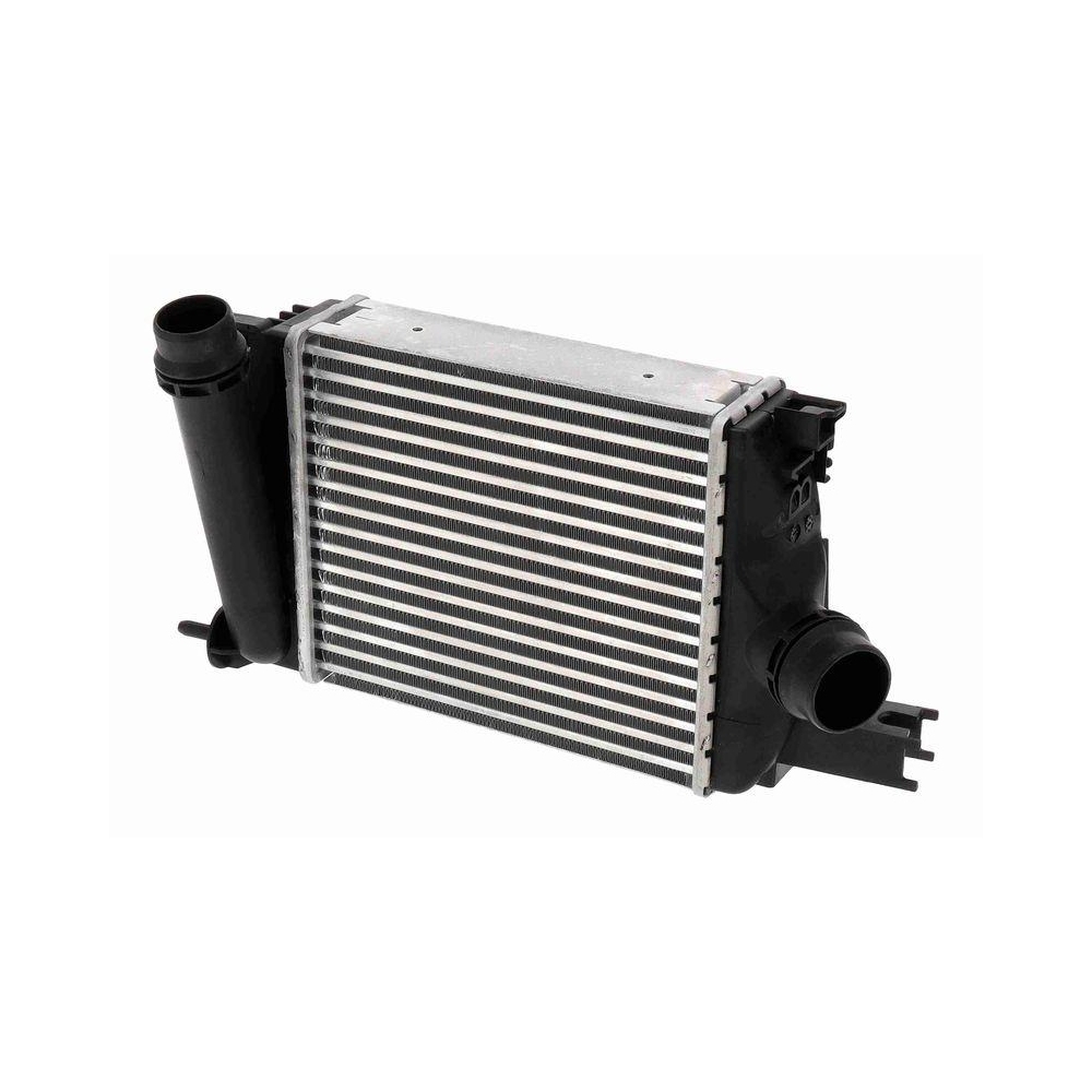 Ladeluftkühler VEMO V21-60-0003 Original VEMO Qualität für RENAULT, links