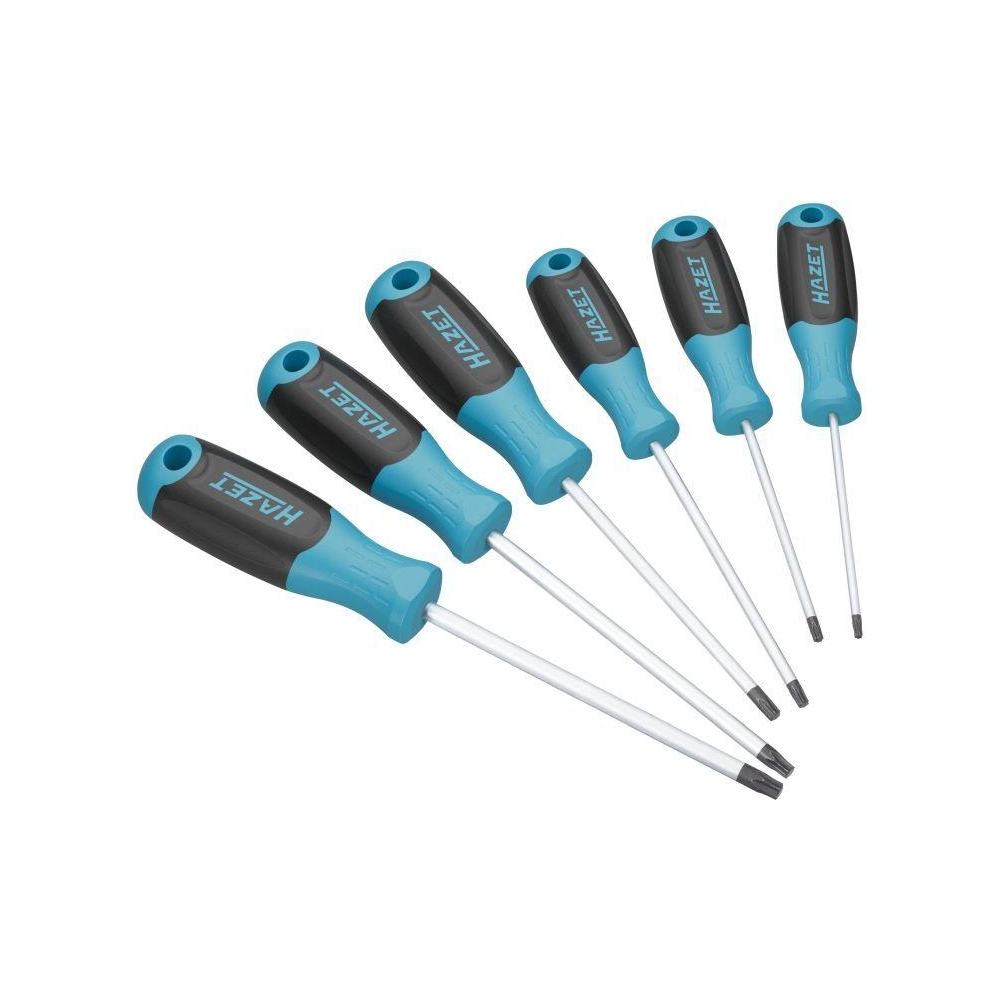 Schraubendrehersatz HAZET 811T/6 für