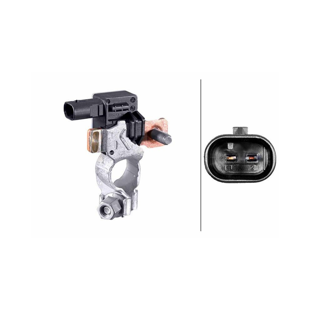 HELLA Sensor, Batteriemanagement 6PK 012 767-171 für GENERAL MOTORS