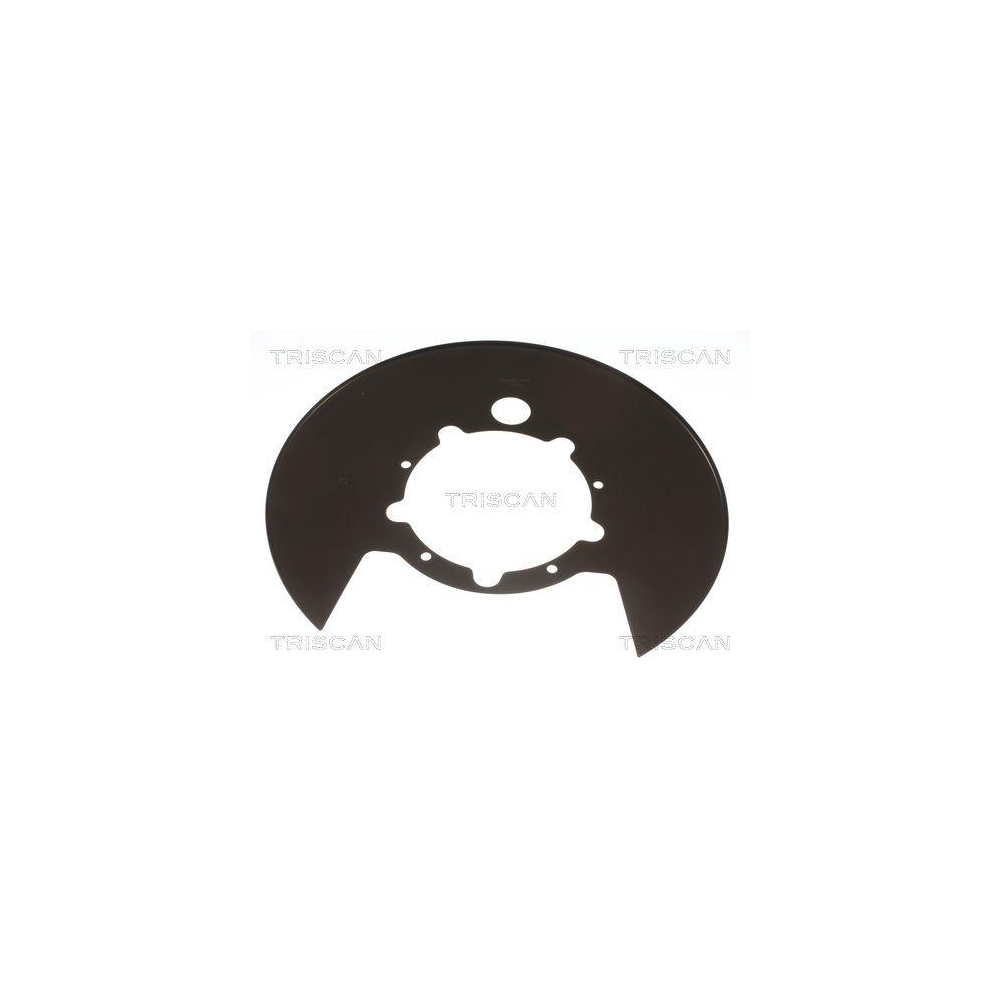 Spritzblech, Bremsscheibe TRISCAN 8125 15208 f&uuml;r FIAT, Hinterachse