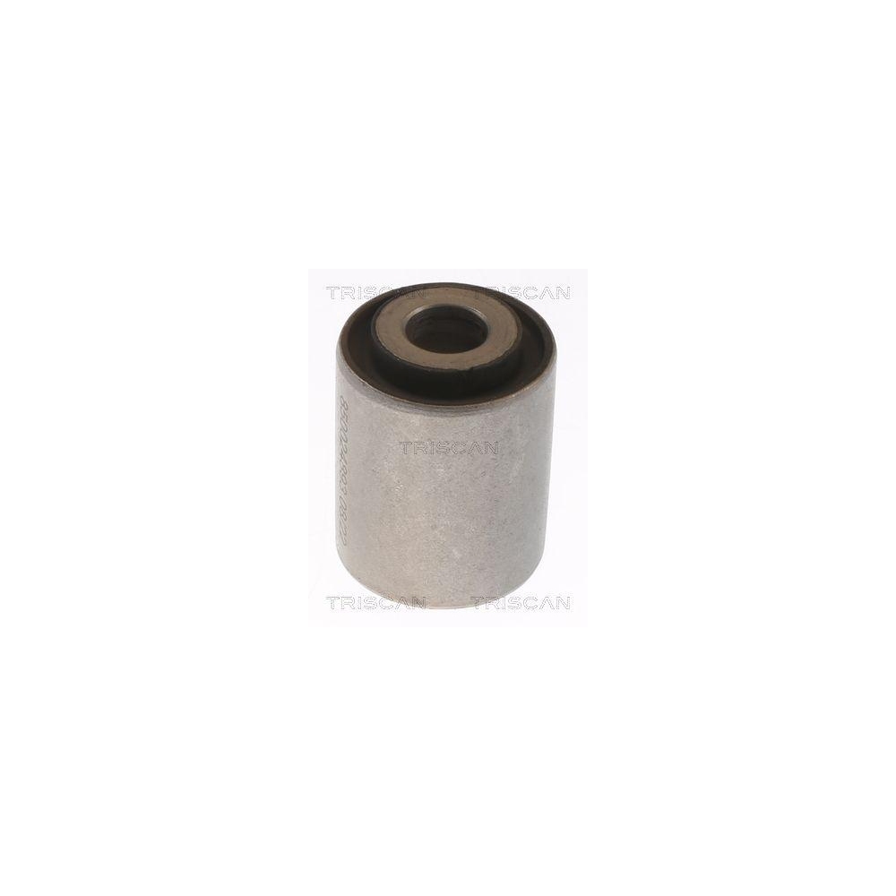 Lagerung, Lenker TRISCAN 8500 24893 f&uuml;r OPEL CHEVROLET, Hinterachse, au&szlig;en