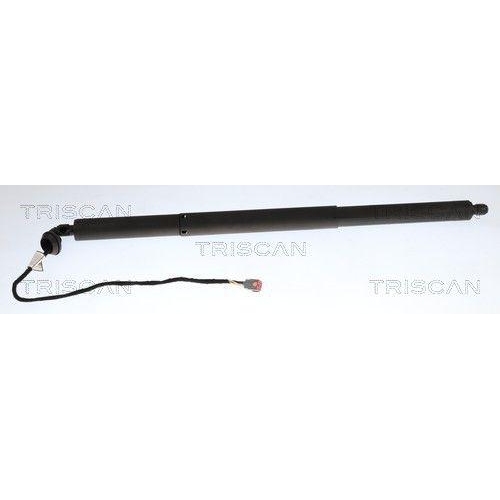 TRISCAN 8710 16317 Gasfeder, Koffer-/Laderaum f&uuml;r FORD, links