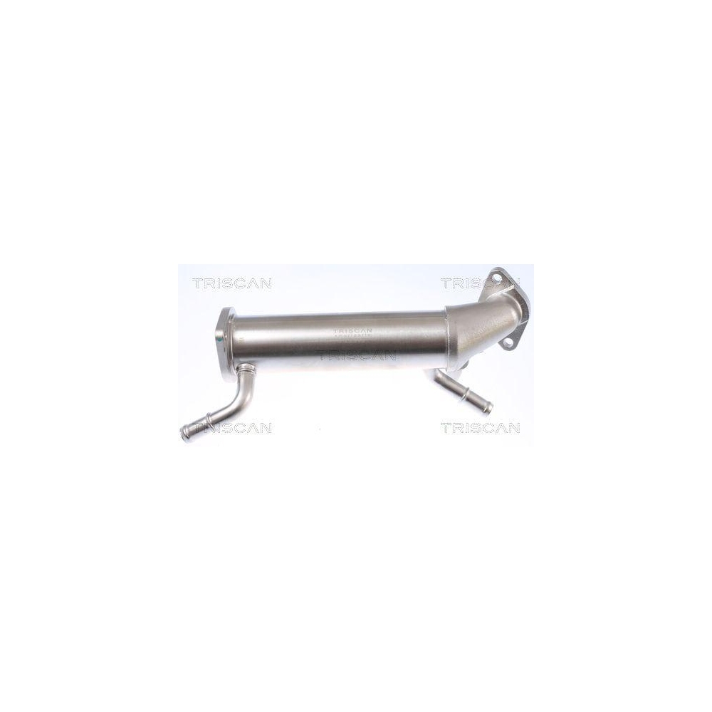 K&uuml;hler, Abgasr&uuml;ckf&uuml;hrung TRISCAN 8813 10112 f&uuml;r CITRO&Euml;N FIAT FORD PEUGEOT