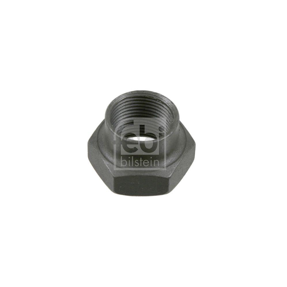 Mutter, Achszapfen FEBI BILSTEIN 03831 f&uuml;r FORD FORD USA, Hinterachse