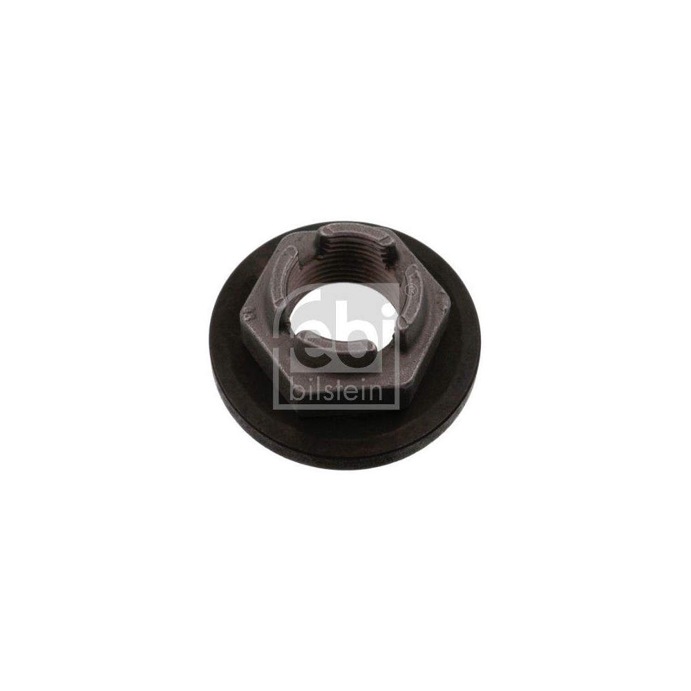 FEBI BILSTEIN Mutter, Achszapfen 18695 f&uuml;r FORD MAZDA FORD USA, Hinterachse