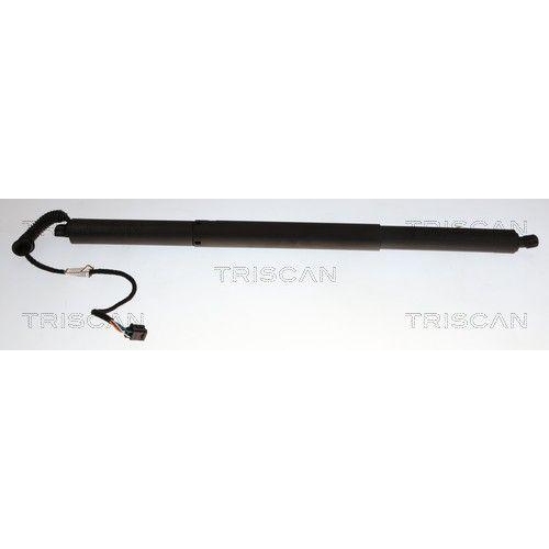 TRISCAN 8710 29338 Gasfeder, Koffer-/Laderaum f&uuml;r AUDI, links, rechts