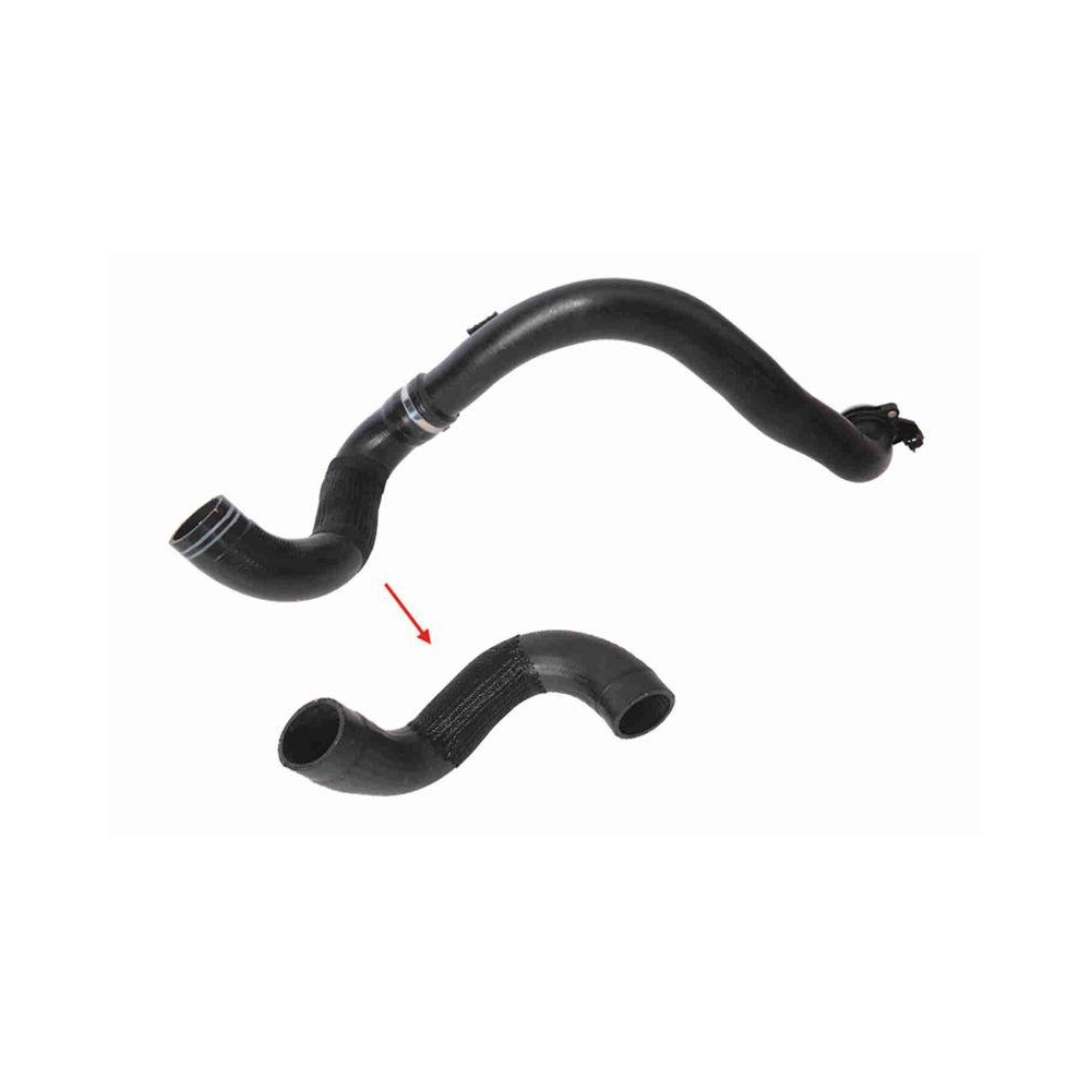 Ladeluftschlauch VAICO V24-1177 Q+, Erstausrüsterqualität für FIAT, unten