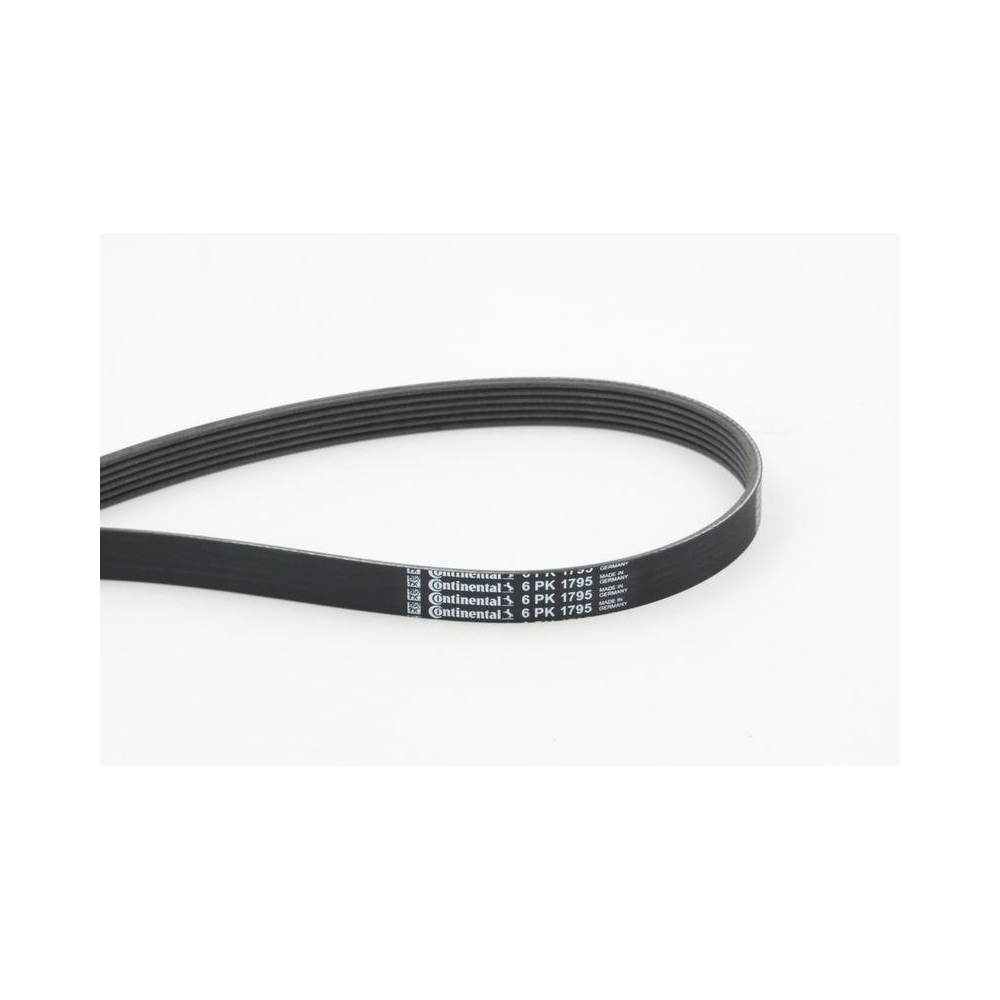 Keilrippenriemen CONTINENTAL CTAM 6PK1795 für ALFA ROMEO BMW FIAT FORD NISSAN
