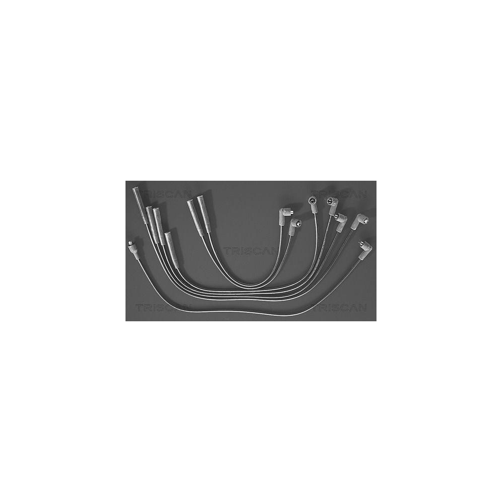 Zündleitungssatz TRISCAN 8860 7125 für