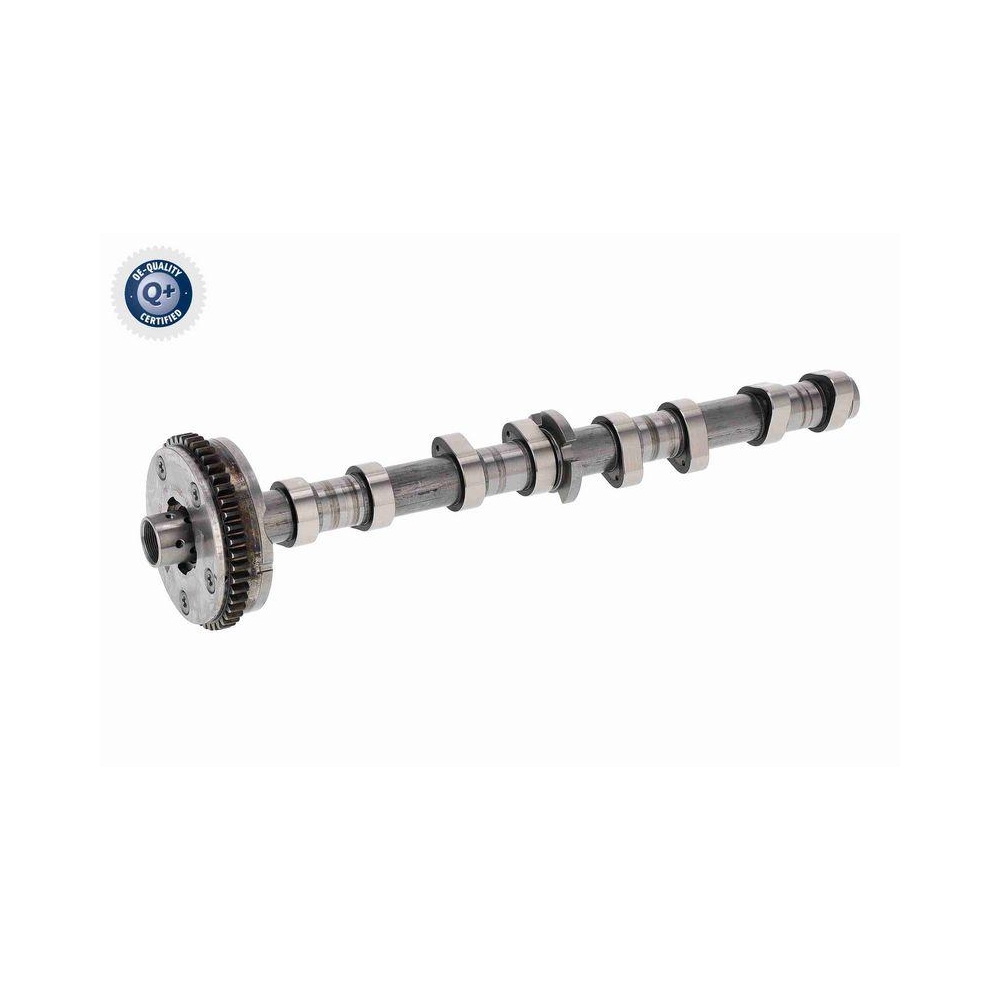 Nockenwellenversteller VAICO V10-5585 Q+, Erstausr&uuml;sterqualit&auml;t f&uuml;r AUDI SEAT VW