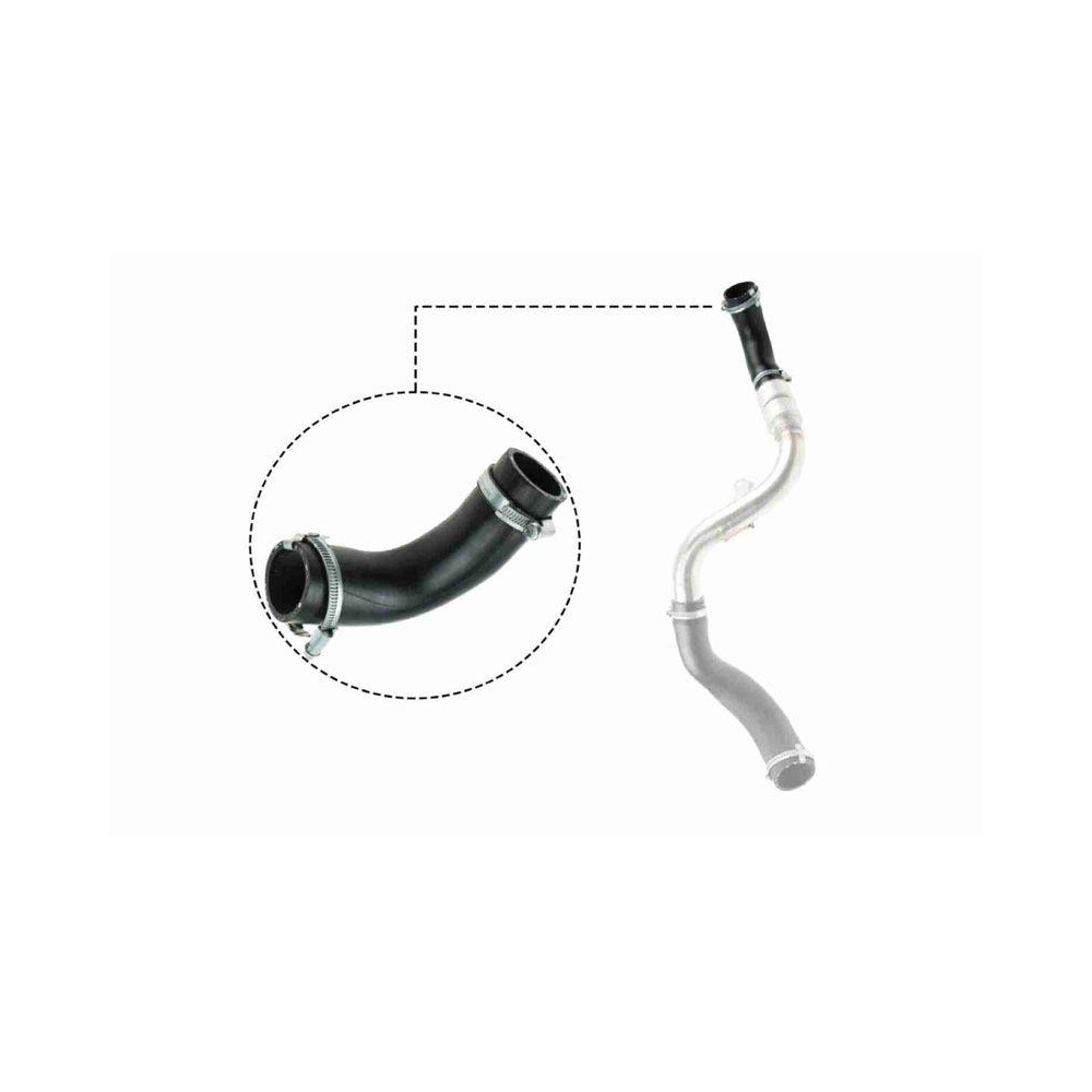 Ladeluftschlauch VAICO V25-1023 Q+, Erstausr&uuml;sterqualit&auml;t f&uuml;r FORD