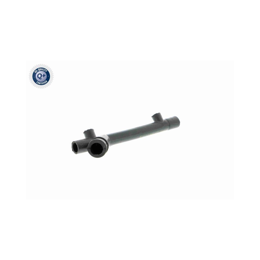 Schlauch, Kurbelgehäuseentlüftung VAICO V30-1884 Q+, Erstausrüsterqualität für