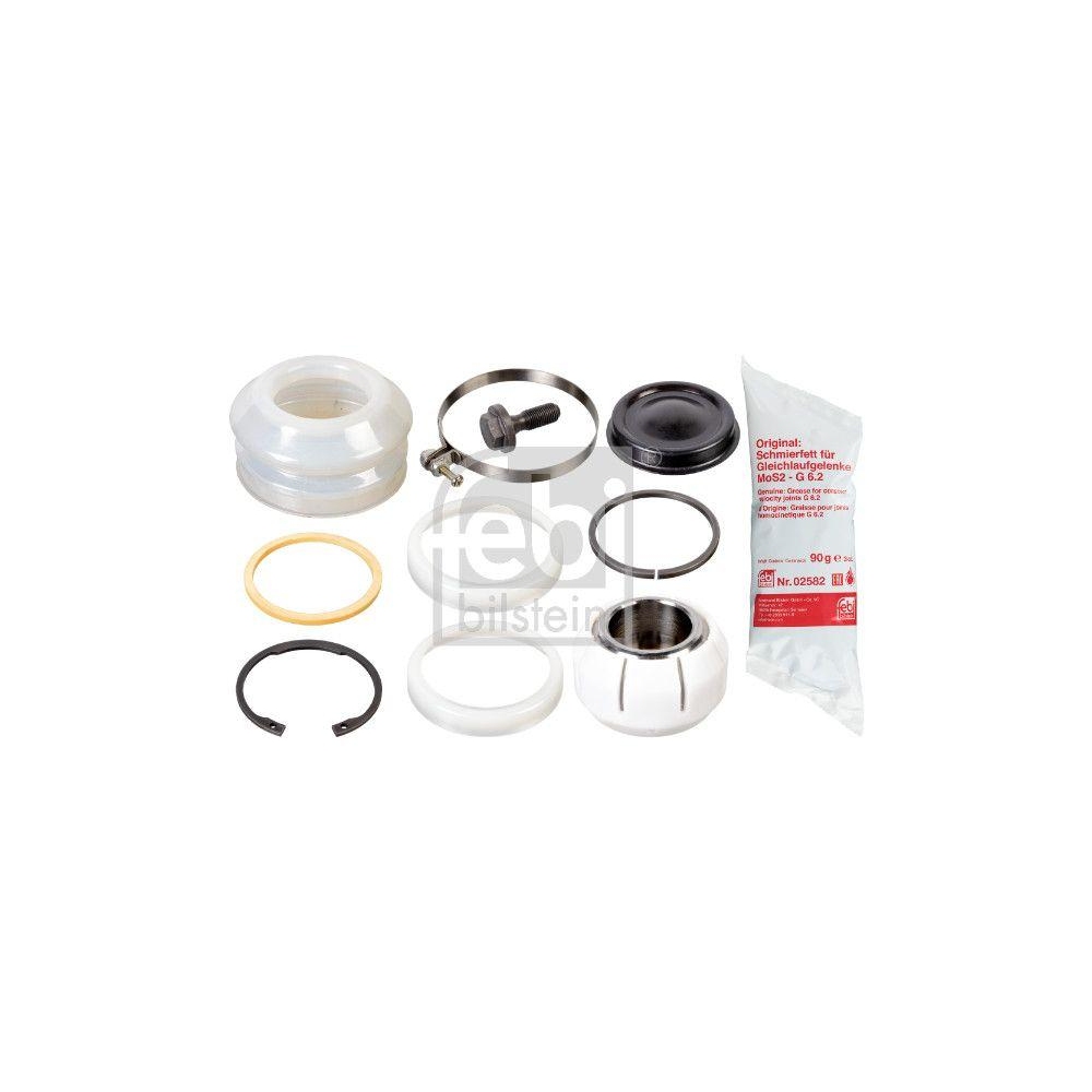 FEBI BILSTEIN Reparatursatz, F&uuml;hrungsstrebe 17418 f&uuml;r DAF VOLVO