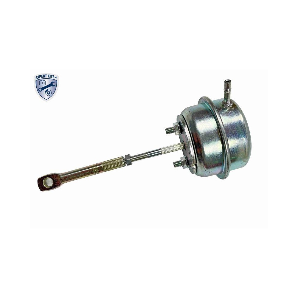 Steuerdose, Lader VEMO V40-40-0005 EXPERT KITS + für OPEL