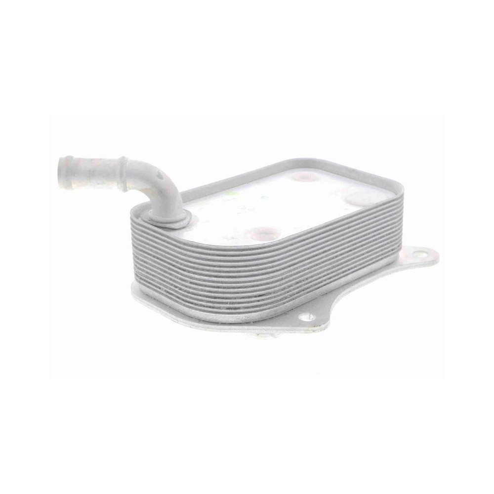 &Ouml;lk&uuml;hler, Motor&ouml;l VEMO V15-60-6071 Original VEMO Qualit&auml;t f&uuml;r AUDI SEAT SKODA VW