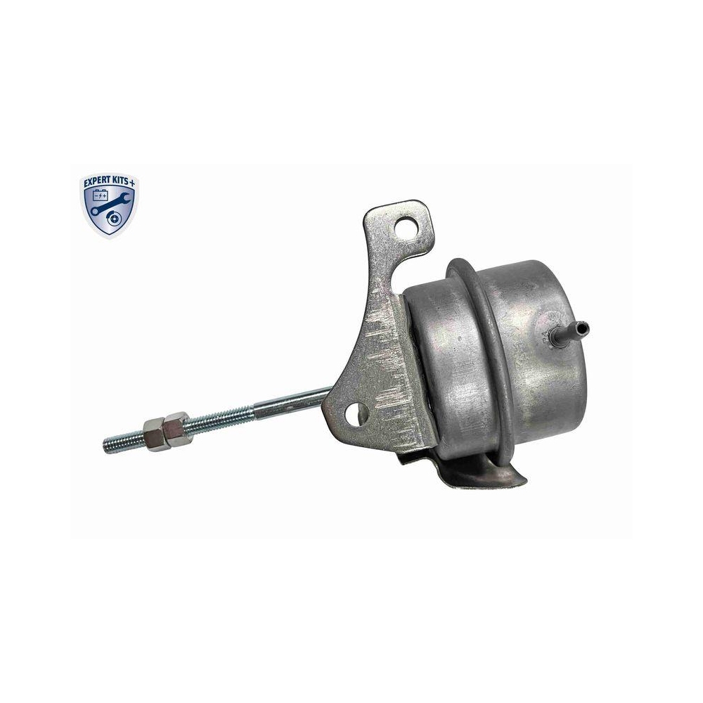 Steuerdose, Lader VEMO V46-40-0001 EXPERT KITS + f&uuml;r RENAULT