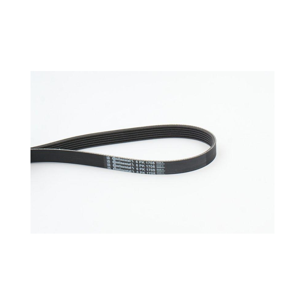 Keilrippenriemen CONTINENTAL CTAM 6PK1705 für AUDI BMW CITROËN FIAT FORD LANCIA