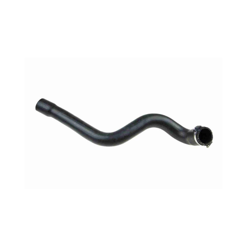 Ladeluftschlauch VAICO V46-0826 Q+, Erstausrüsterqualität für RENAULT