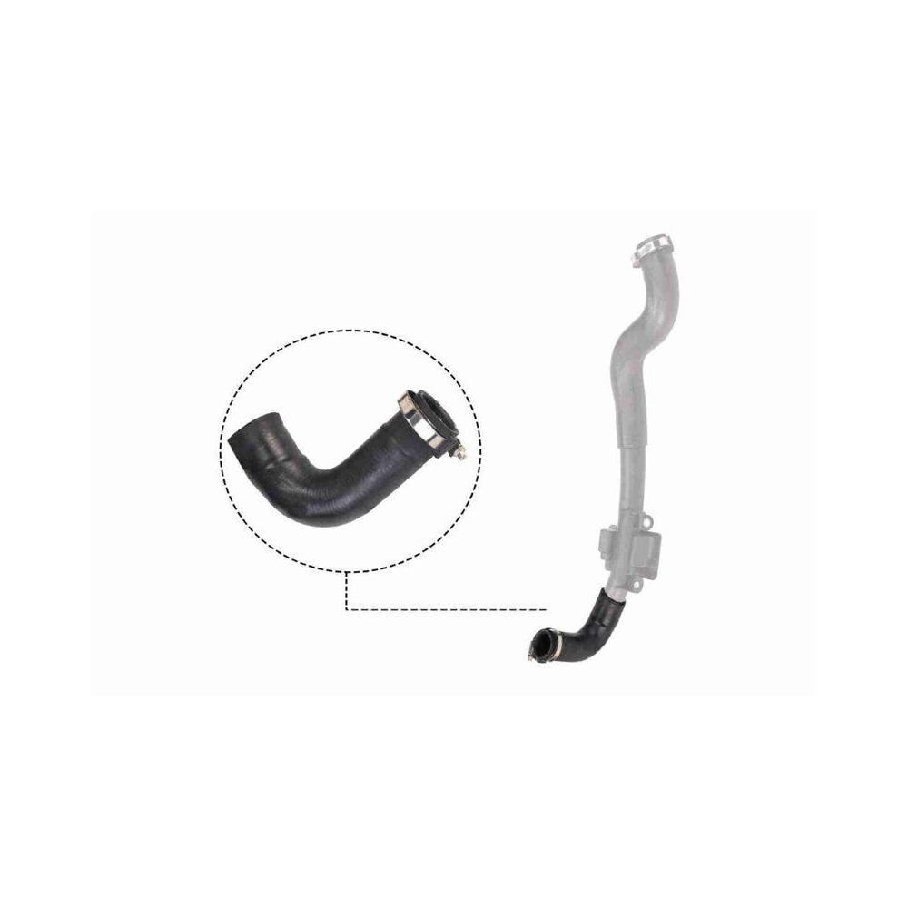 Ladeluftschlauch VAICO V46-0828 Q+, Erstausr&uuml;sterqualit&auml;t f&uuml;r RENAULT