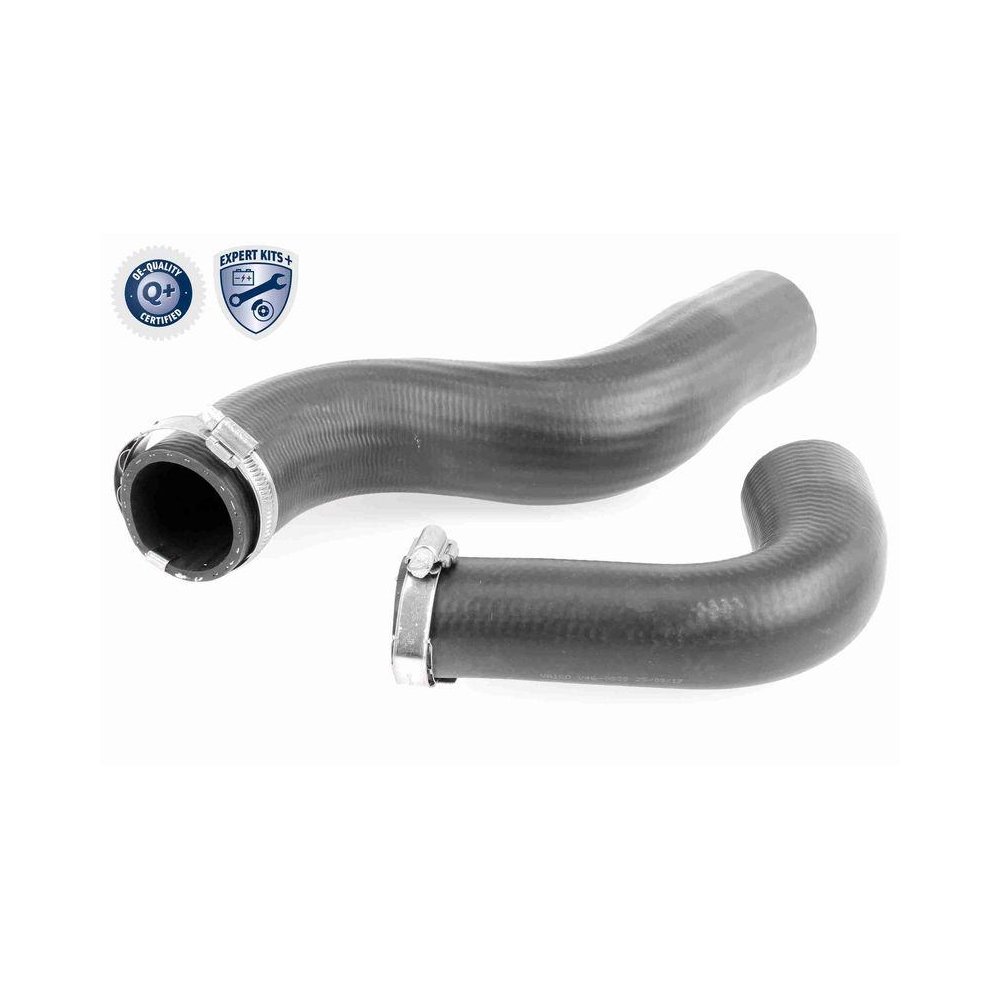 Ladeluftschlauch VAICO V46-0829 EXPERT KITS + f&uuml;r RENAULT