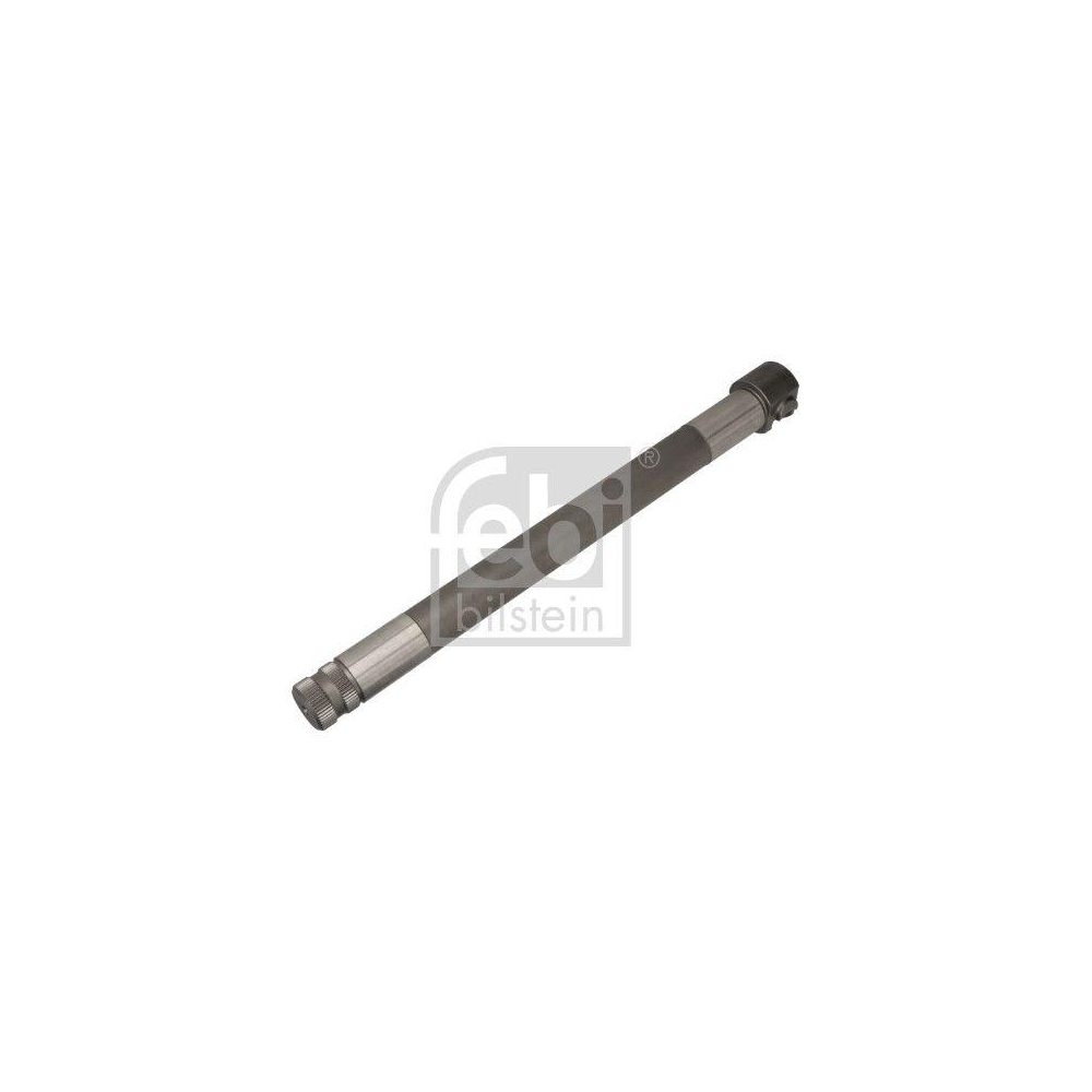 Bremswelle, Trommelbremse FEBI BILSTEIN 193529 für DAF, Hinterachse links