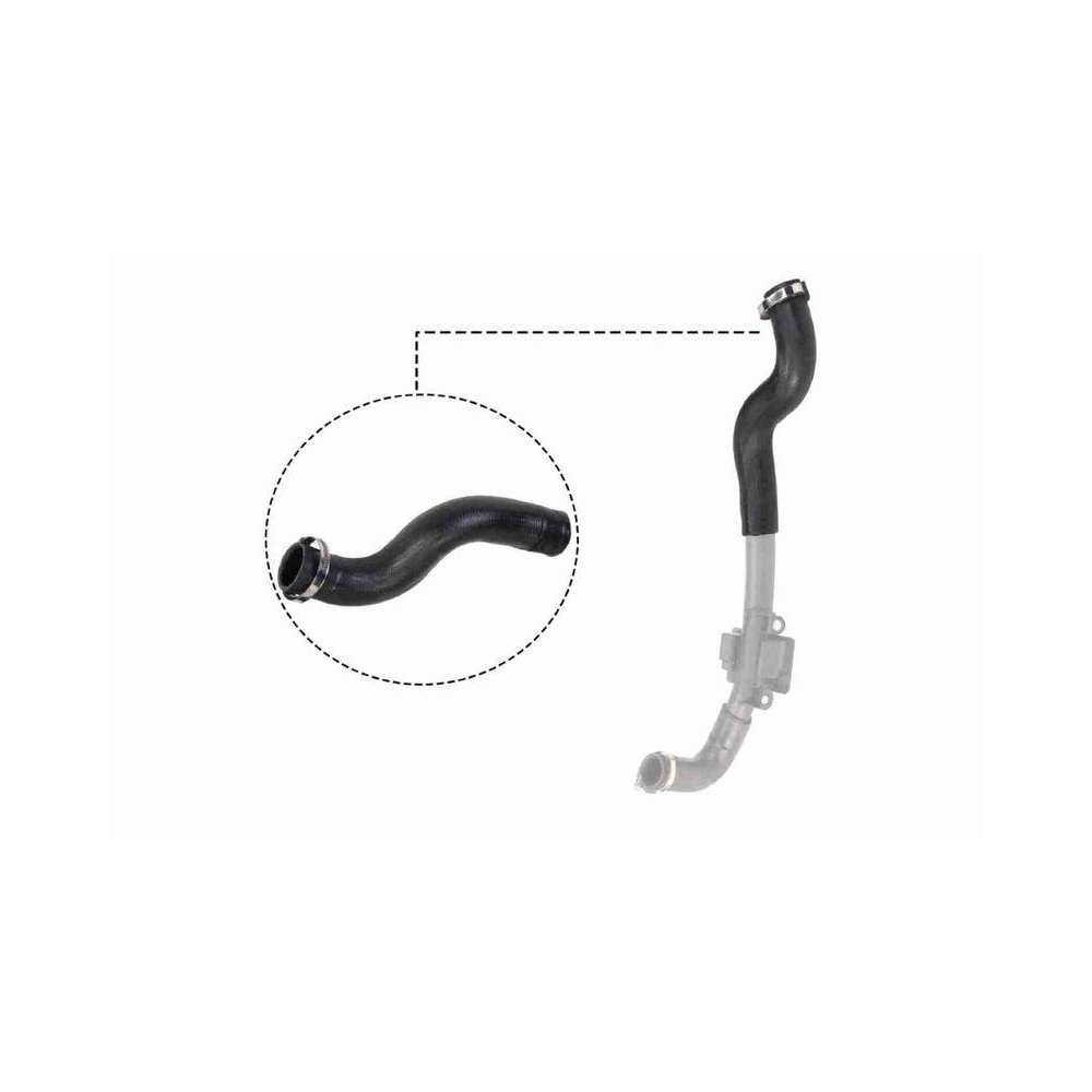 Ladeluftschlauch VAICO V46-0830 Q+, Erstausr&uuml;sterqualit&auml;t f&uuml;r RENAULT