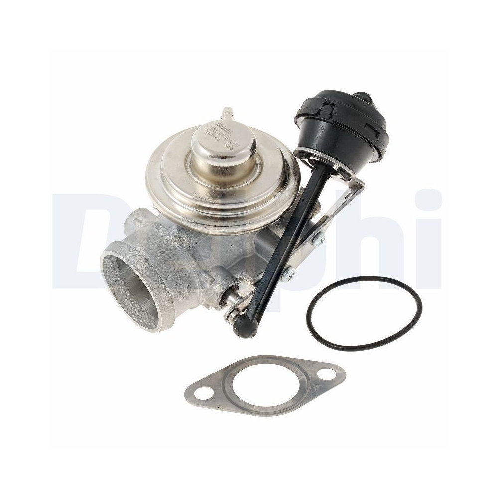 AGR-Ventil DELPHI EG10650-12B1 für AUDI SEAT VW, rechts