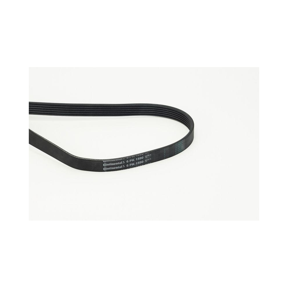 Keilrippenriemen CONTINENTAL CTAM 6PK1590 für AUDI CITROËN FIAT FORD LANCIA OPEL