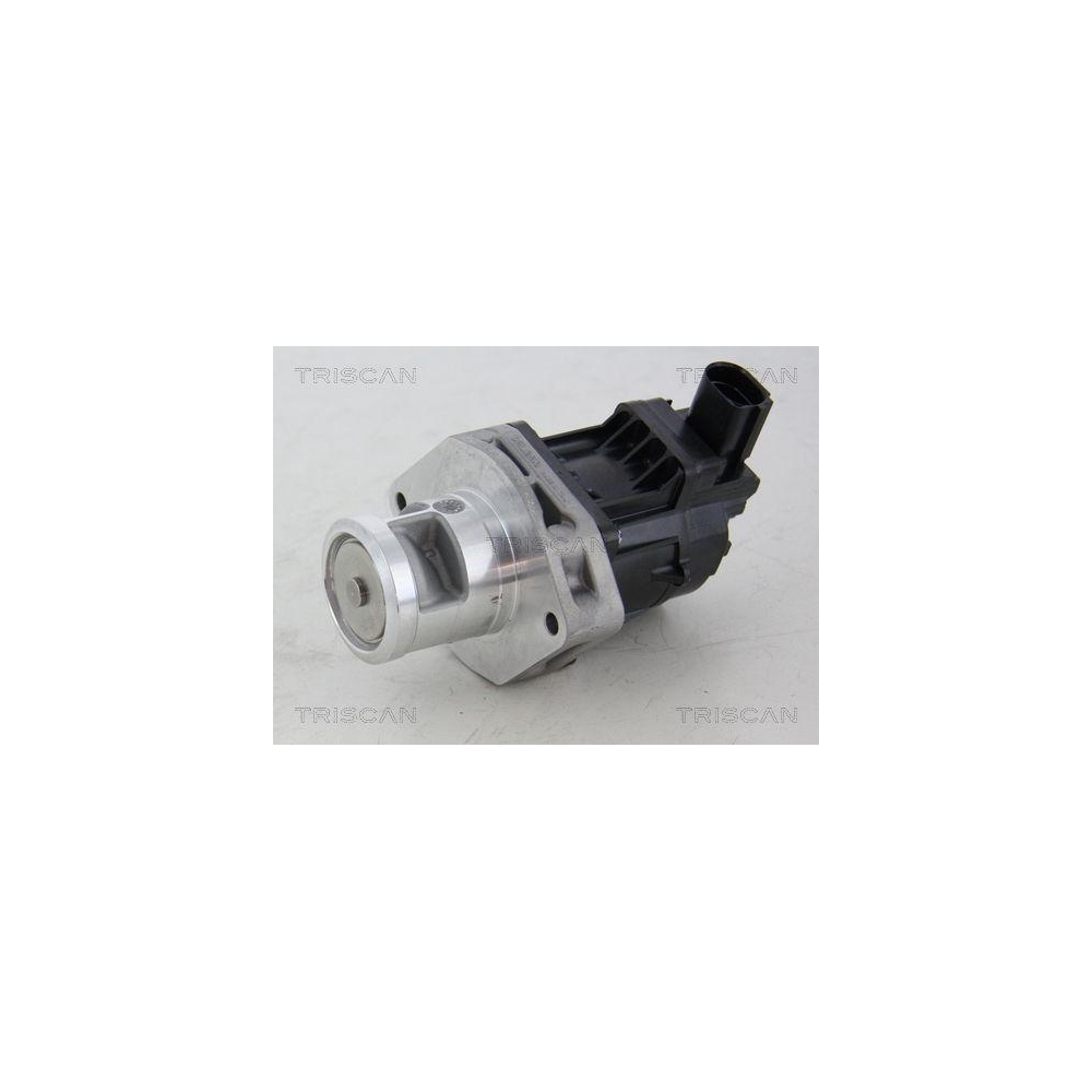 AGR-Ventil TRISCAN 8813 10214 f&uuml;r CHRYSLER FIAT
