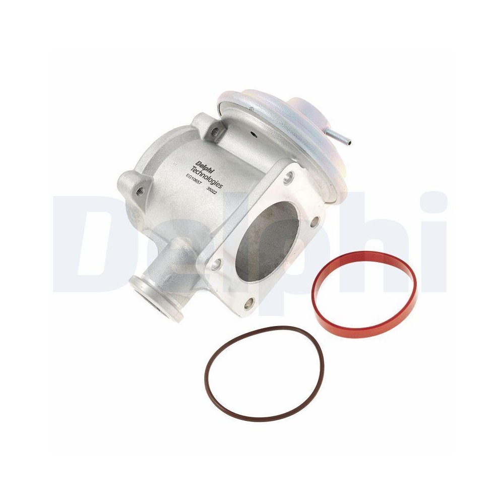DELPHI EG10657-12B1 AGR-Ventil f&uuml;r BMW