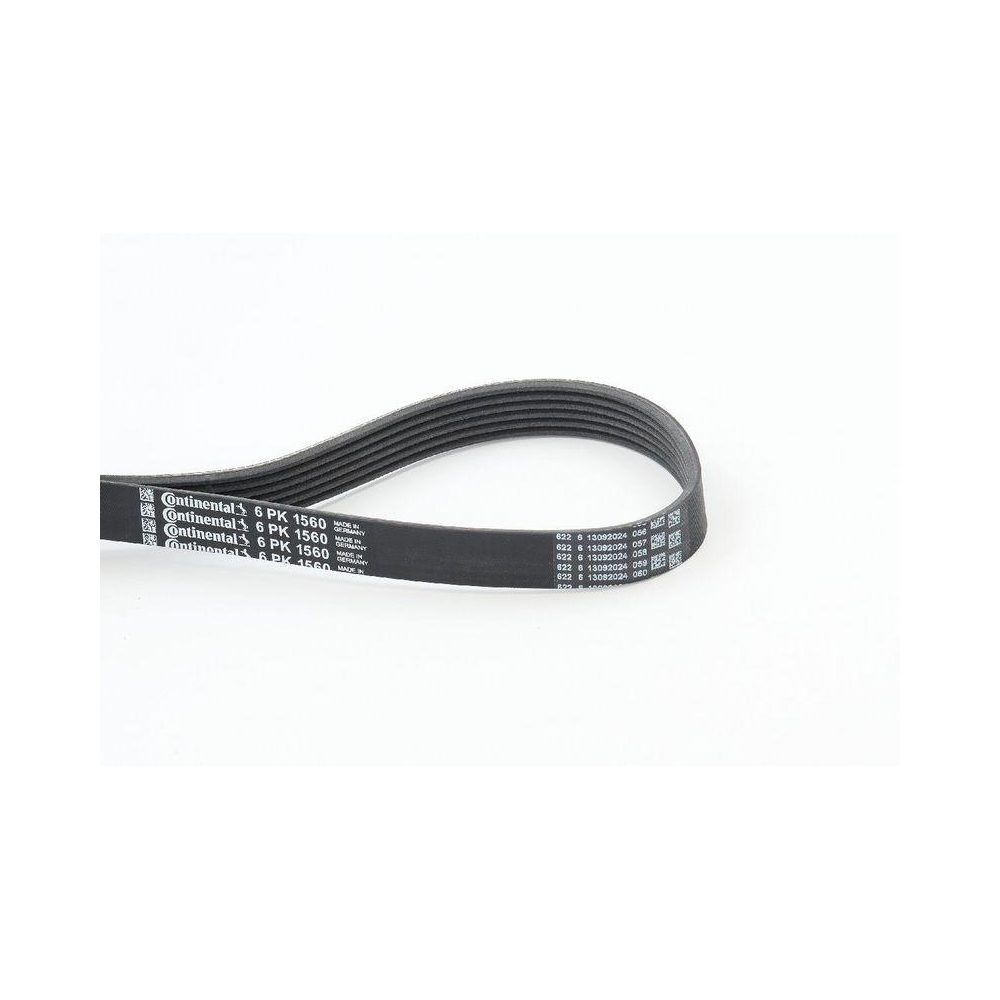 Keilrippenriemen CONTINENTAL CTAM 6PK1560 für BMW CITROËN FORD MG PEUGEOT ROVER