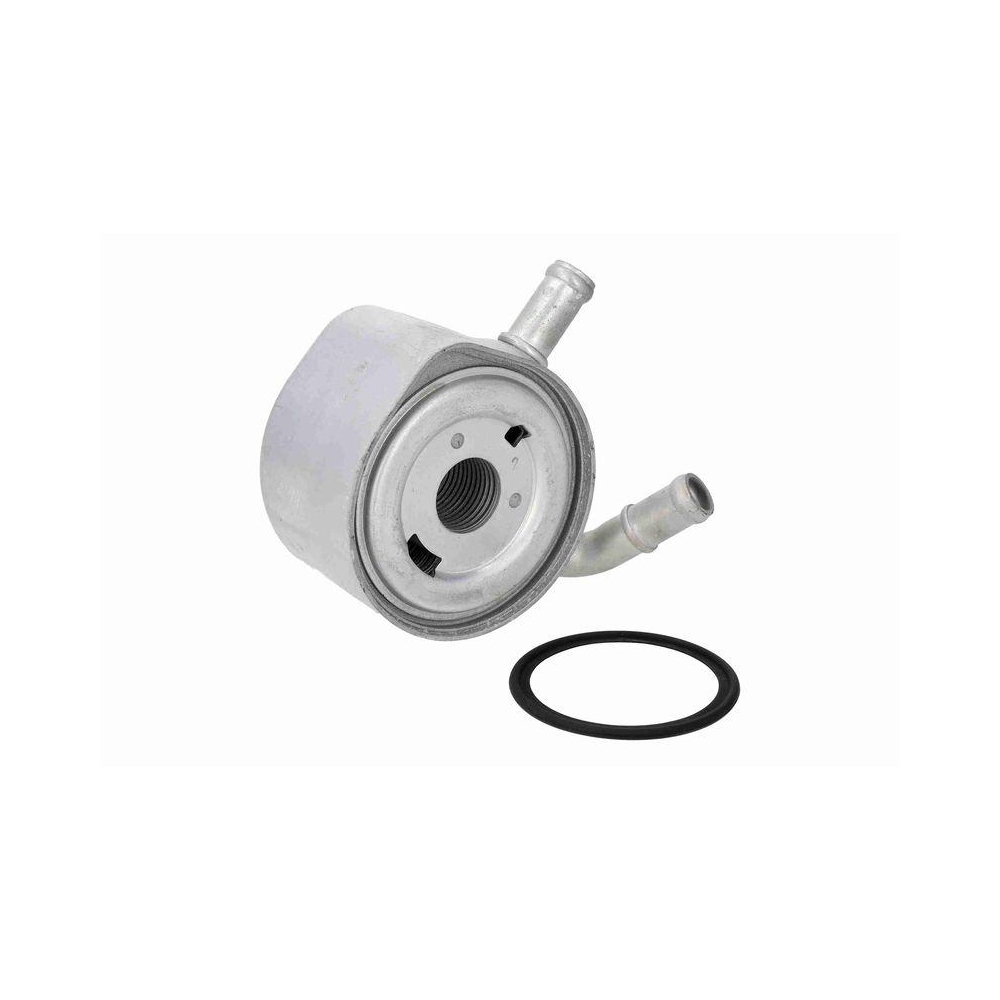 Ölkühler, Motoröl VEMO V46-60-0001 Original VEMO Qualität für NISSAN RENAULT