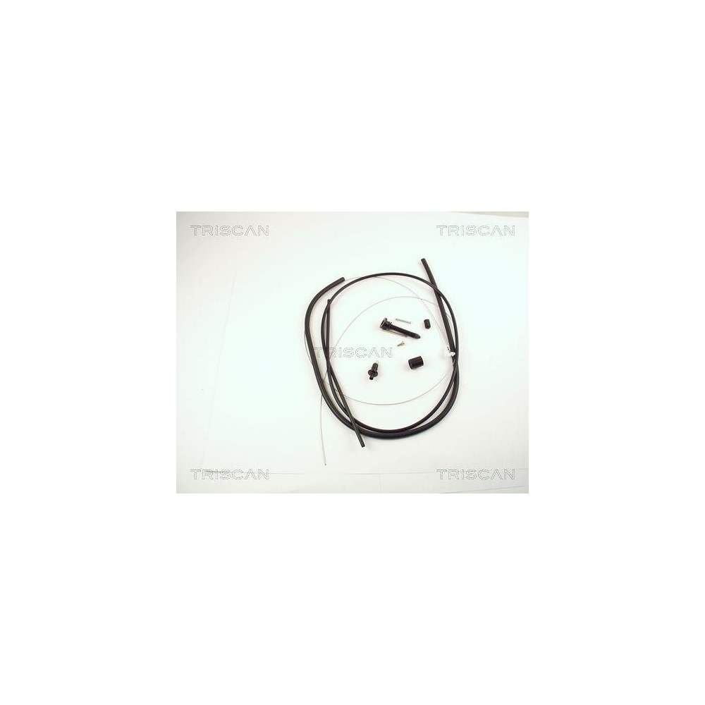 Gaszug TRISCAN 8140 25324 für RENAULT