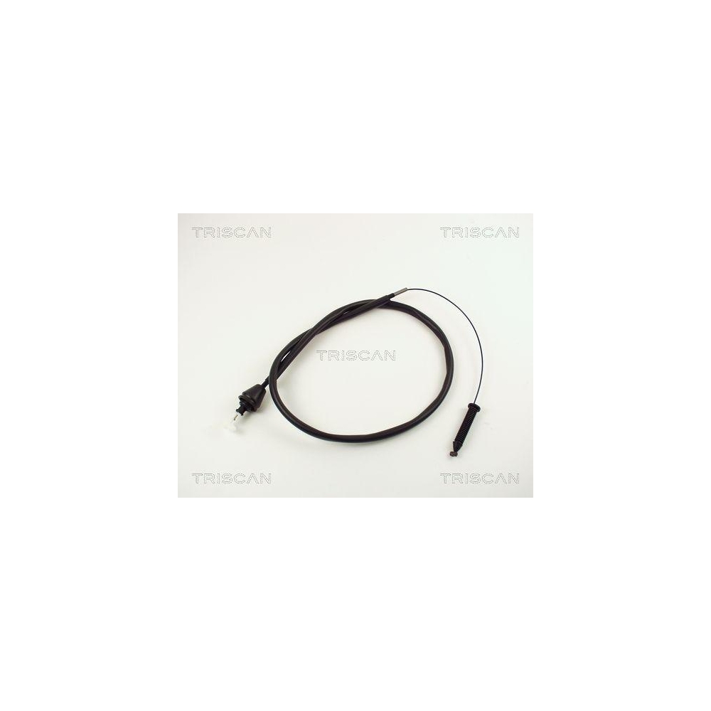 Gaszug TRISCAN 8140 25325 für RENAULT