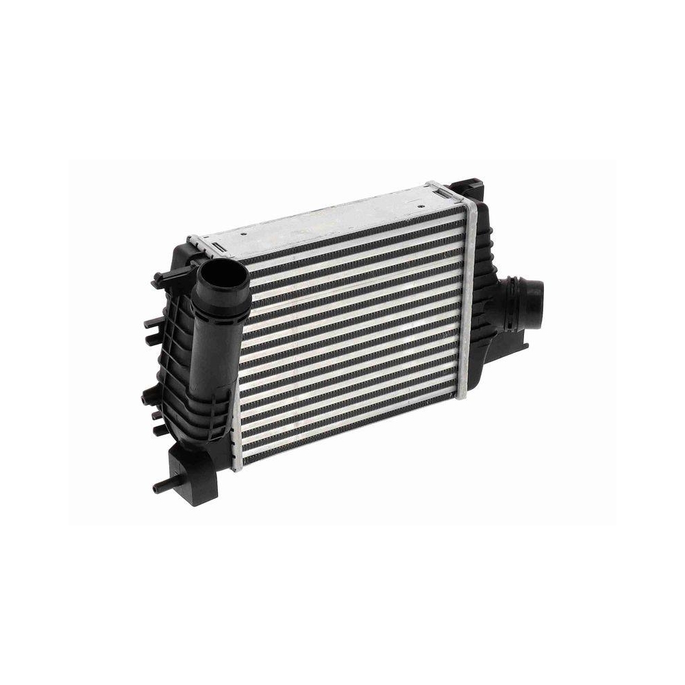 Ladeluftk&uuml;hler VEMO V21-60-0005 Original VEMO Qualit&auml;t f&uuml;r RENAULT