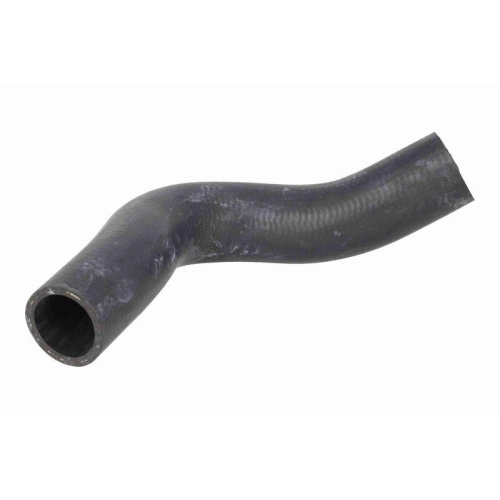 ACKOJA A70-1311 K&uuml;hlerschlauch Green Mobility Parts f&uuml;r TOYOTA, unten