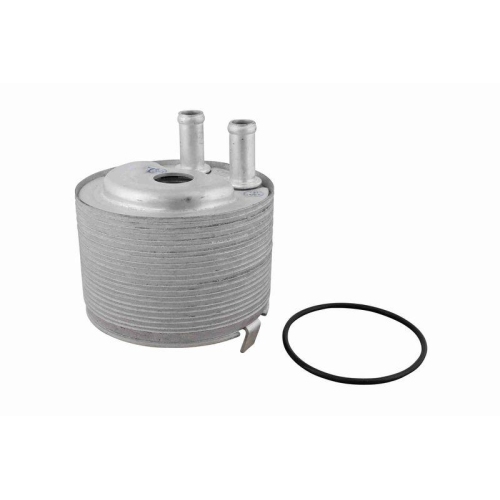 ACKOJA A38-60-0012 &Ouml;lk&uuml;hler, Motor&ouml;l Original ACKOJA Qualit&auml;t f&uuml;r NISSAN