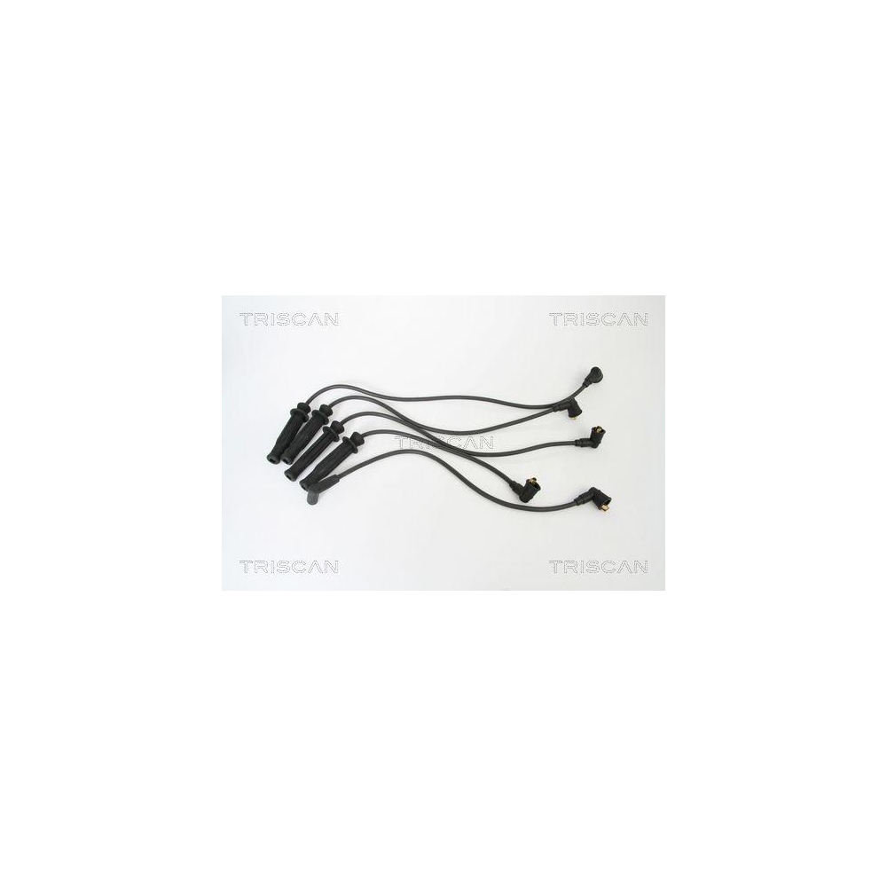 Z&uuml;ndleitungssatz TRISCAN 8860 17007 f&uuml;r