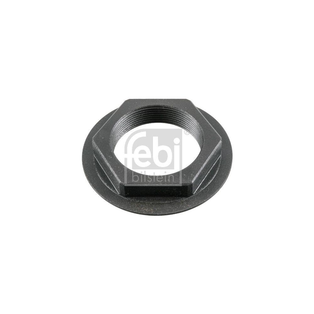 FEBI BILSTEIN Mutter, Achszapfen 181119 f&uuml;r VOLVO RENAULT TRUCKS