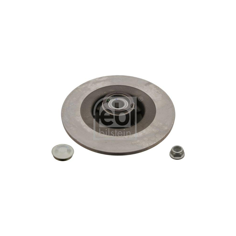 Bremsscheibe FEBI BILSTEIN 28156 f&uuml;r RENAULT, Hinterachse